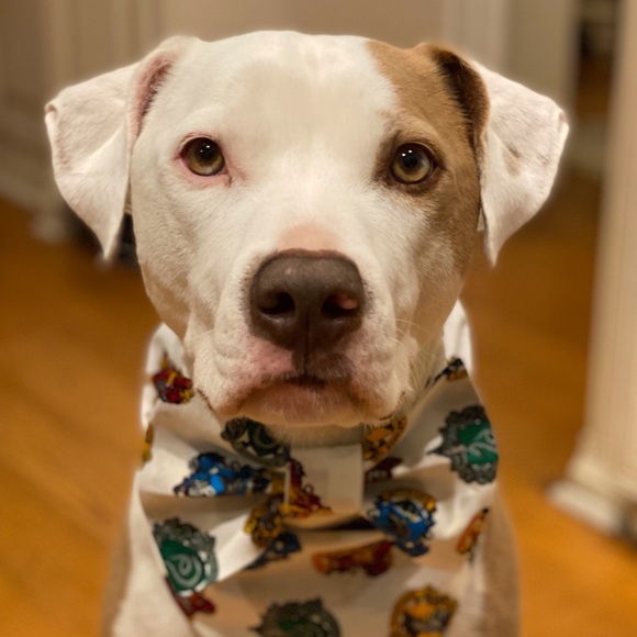 Bundle And Save! - Picture 3 of 5